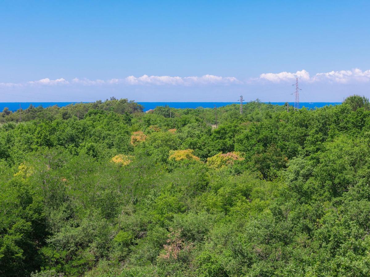 Holiday Home Bibali 3 By Interhome Dış mekan fotoğraf